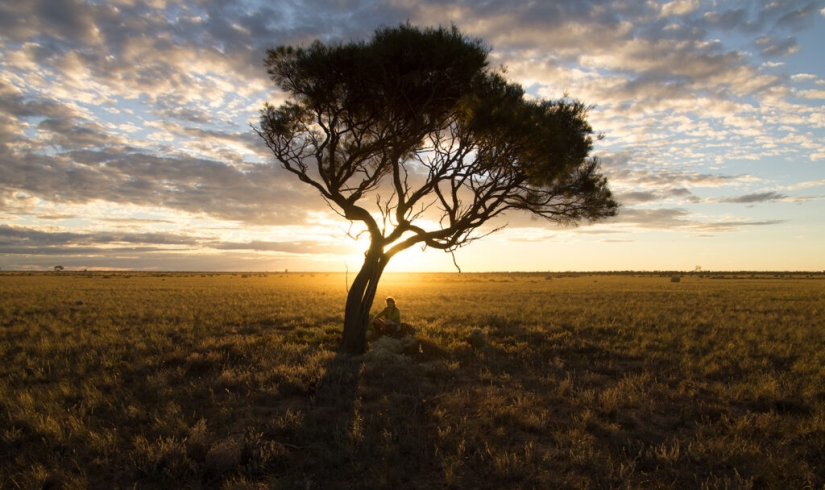 Go, Sarah, go: a traveler from Switzerland walked 16 thousand km and crossed two continents