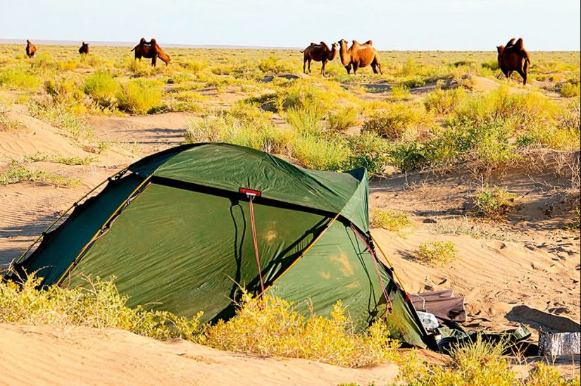 Go, Sarah, go: a traveler from Switzerland walked 16 thousand km and crossed two continents