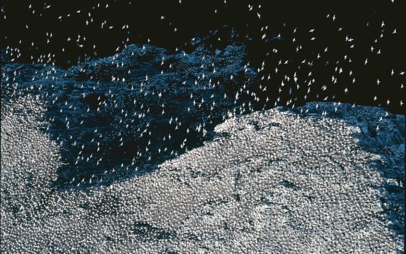 Gran Bretaña a vista de pájaro Gran Bretaña a vista de pájaro