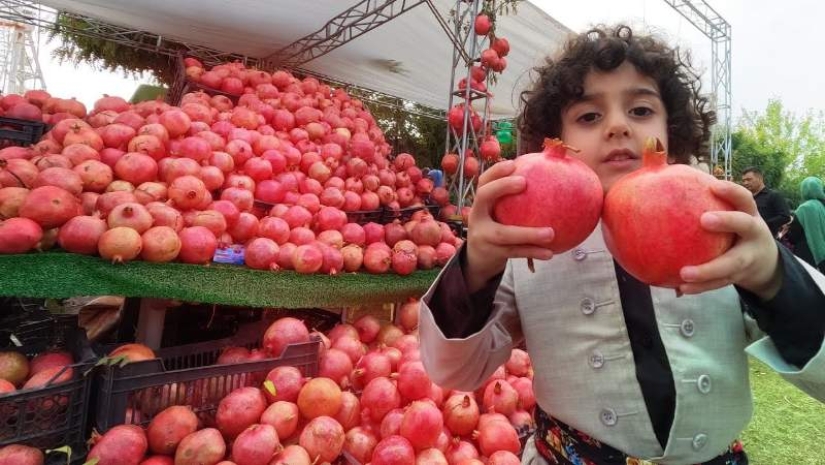 Granada: De símbolo antiguo a superalimento del siglo XXI
