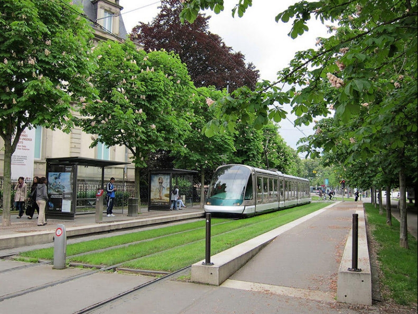 Green tram tracks in Europe Green tram tracks in Europe