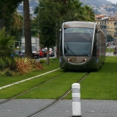 Green tram tracks in Europe