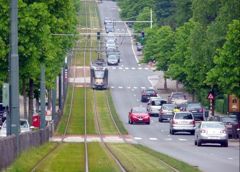 Green tram tracks in Europe Green tram tracks in Europe