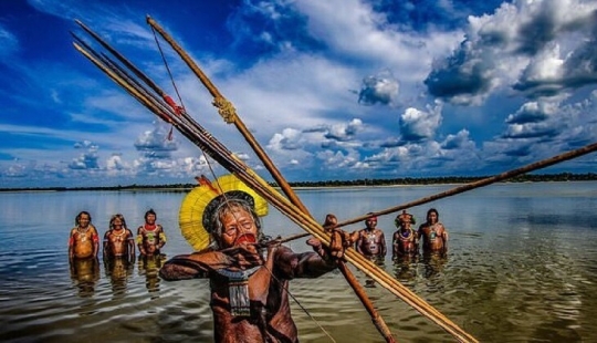 Guardianes de la Amazonía: ¿cómo tribus indígenas en el Brasil de hoy