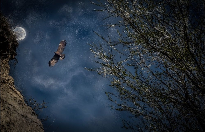 Guardianes de la poste de madera