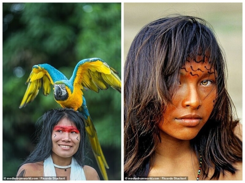 Guardians of the Amazon: how indigenous tribes in Brazil today Guardians of the Amazon: how indigenous tribes in Brazil today