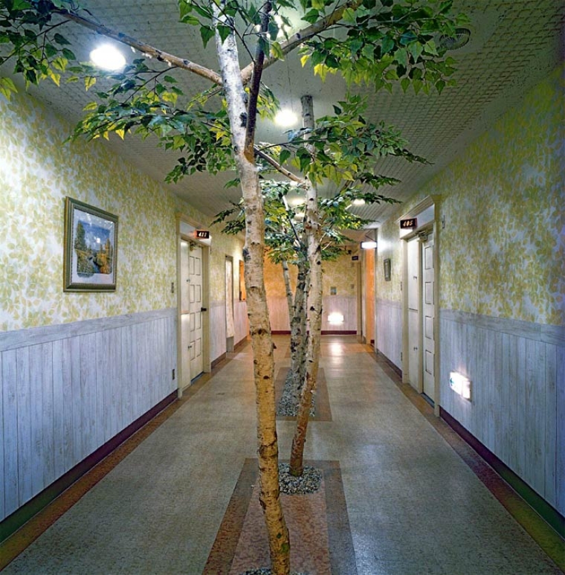 Guarida de lujuria juguetona: cómo son los hoteles sexuales japoneses