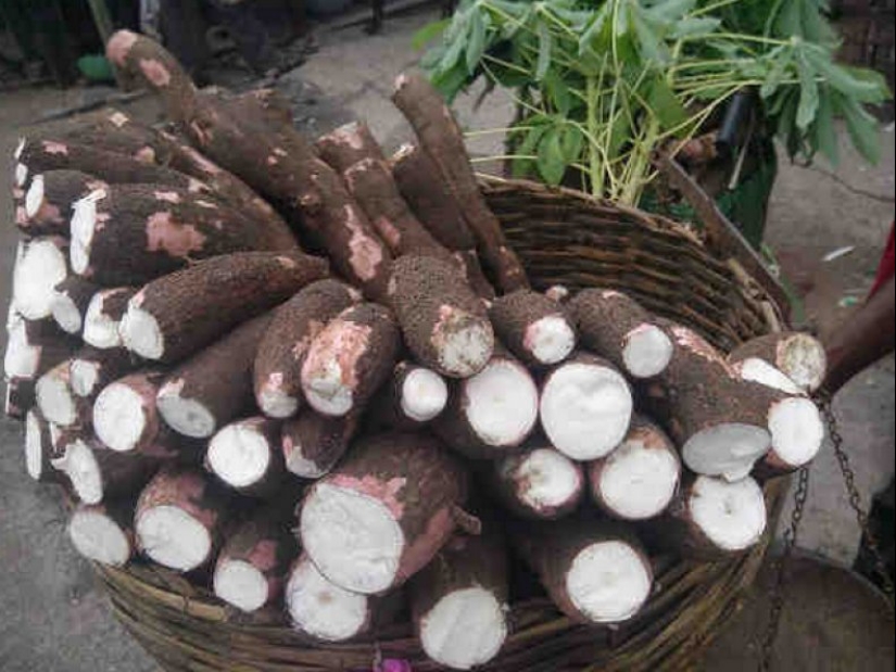 Half a billion people on Earth consume a deadly product Half a billion people on Earth consume a deadly product