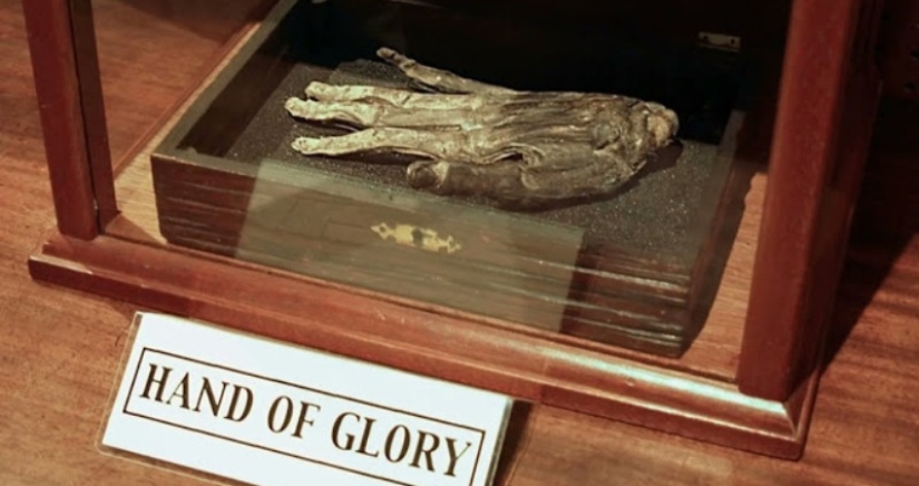 Hand of glory — the eerie exhibit of the British Museum Whitby Hand of glory — the eerie exhibit of the British Museum Whitby