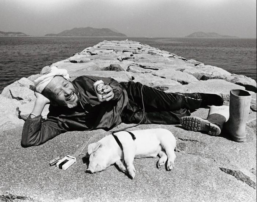 Happy pig farmer and his pets