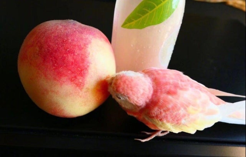 Harmonious 20 photos that will cause you visual pleasure