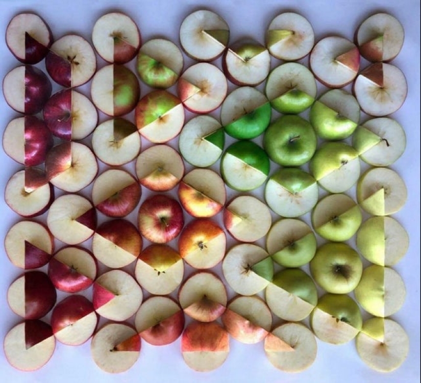 Harmonious 20 photos that will cause you visual pleasure