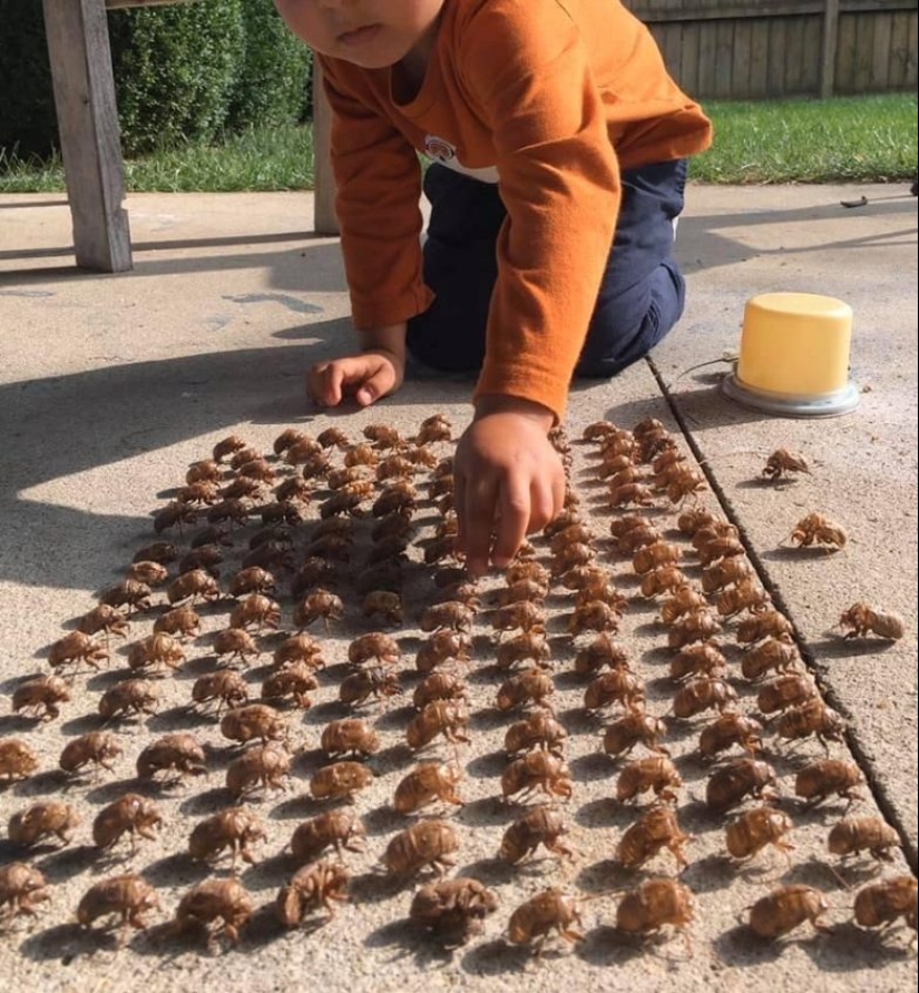 Hasta la piel de gallina: 22 fotos en las que ves algo terrible Hasta la piel de gallina: 22 fotos en las que ves algo terrible