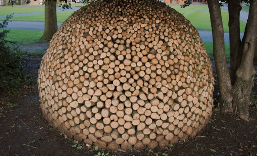 Hay hierba en el patio, leña en la hierba Hay hierba en el patio, leña en la hierba