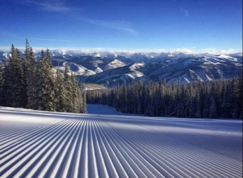 Hay un paraíso para los perfeccionistas, y está en estas 22 fotos