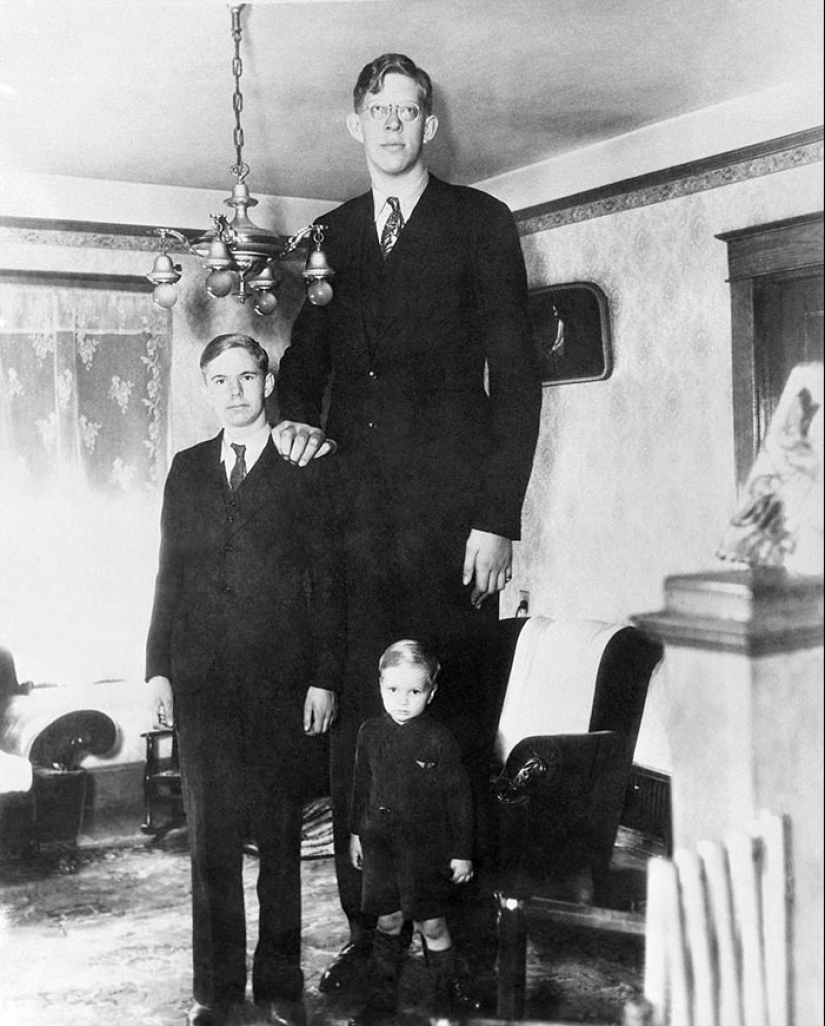 Hay un video que muestra cómo de grande fue Robert Wadlow — el hombre más alto en la historia