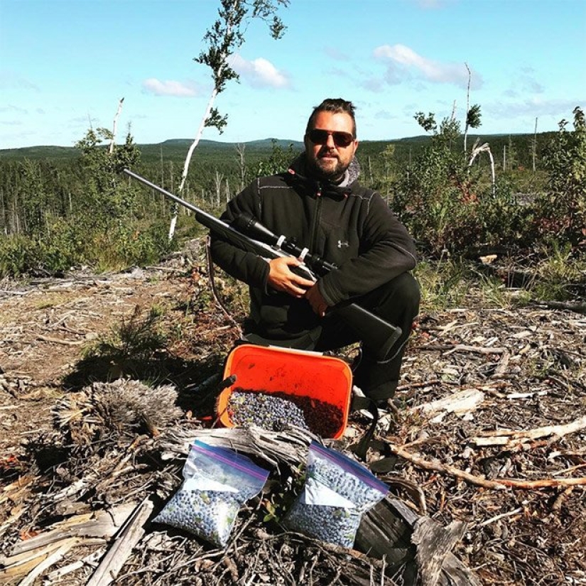 Hay una caza de zanahorias, o jardineros con sus gloriosos trofeos Hay una caza de zanahorias, o jardineros con sus gloriosos trofeos