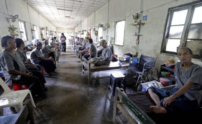 History of leprosy: why humanity has conquered, but not defeated "lazy death" History of leprosy: why humanity has conquered, but not defeated "lazy death"