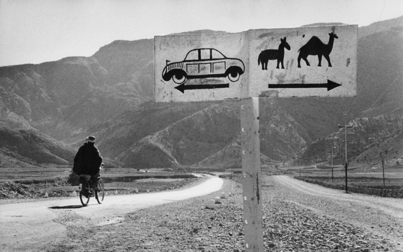 History textbook Marc Ribot History textbook Marc Ribot