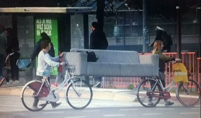 Hogar genios que van a encontrar una manera de salir de cualquier situación Hogar genios que van a encontrar una manera de salir de cualquier situación