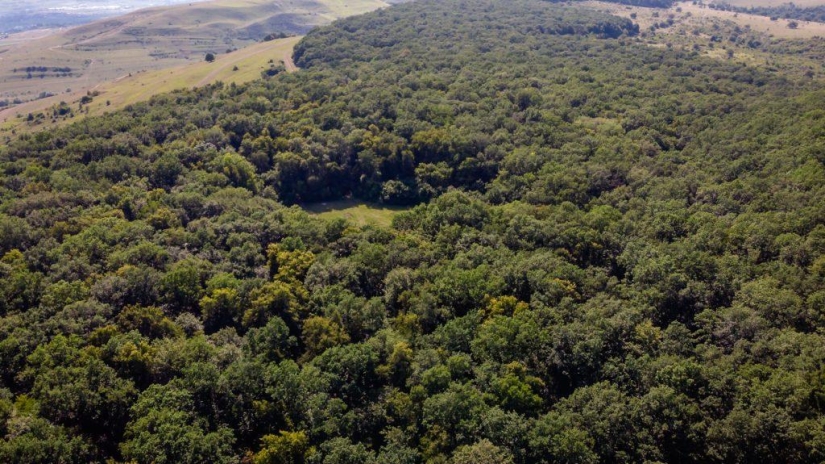 Hoia-Baciu Forest: Why This Place Has a Reputation as the “Romanian Bermuda Triangle” Hoia-Baciu Forest: Why This Place Has a Reputation as the “Romanian Bermuda Triangle”