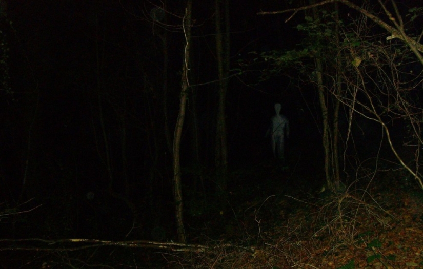 Hoia-Baciu Forest: Why This Place Has a Reputation as the “Romanian Bermuda Triangle” Hoia-Baciu Forest: Why This Place Has a Reputation as the “Romanian Bermuda Triangle”