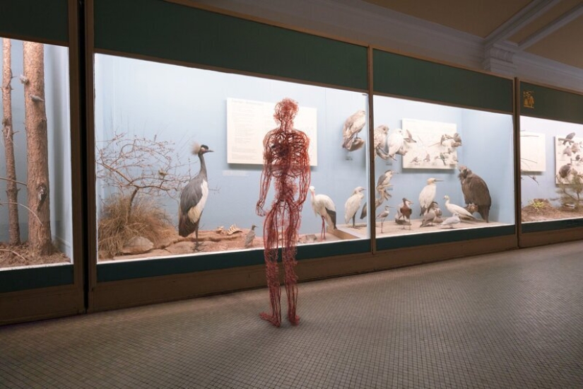 "Hombre, no importa qué": un proyecto sobre la vida de nuestro sistema circulatorio