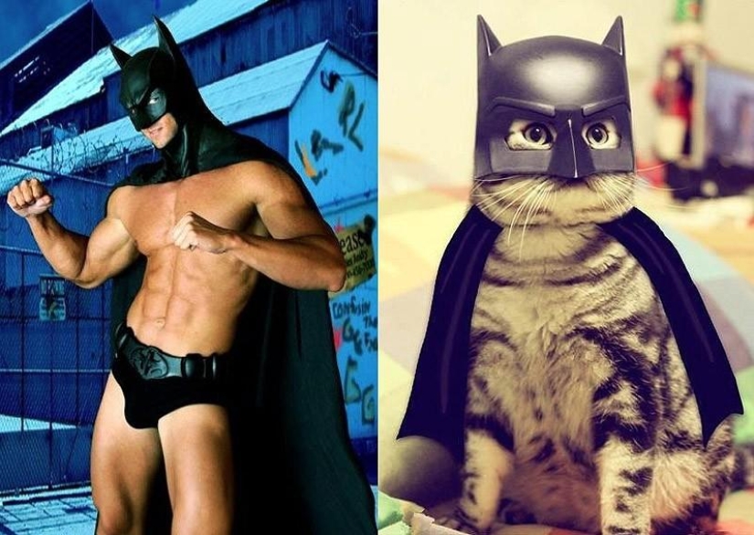 Hombres vs gatos