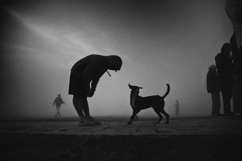 Honest and poignant: footage of an Indian photographer capturing animals Honest and poignant: footage of an Indian photographer capturing animals