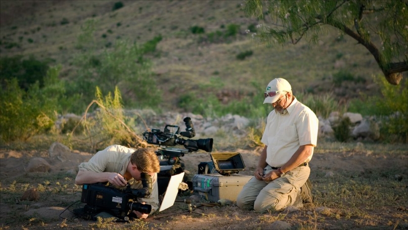 Honey Ants: How to Make the Sweet Life for Yourself When Conditions Are Not Sweet