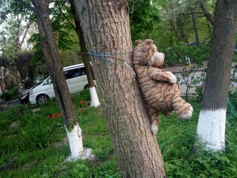 Housing-art: pathology of taste, or a new word in contemporary art?