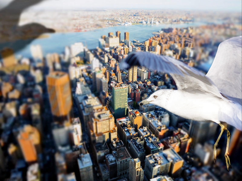 Hovering above the ground like a bird