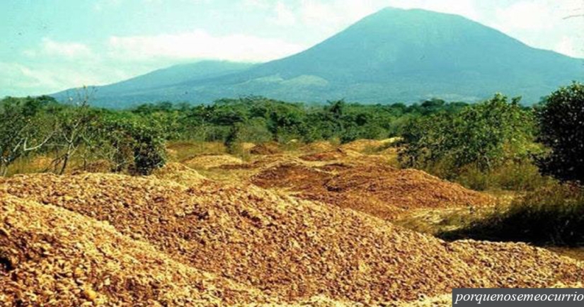 How a bunch of orange peels changed the ecosystem in Central America
