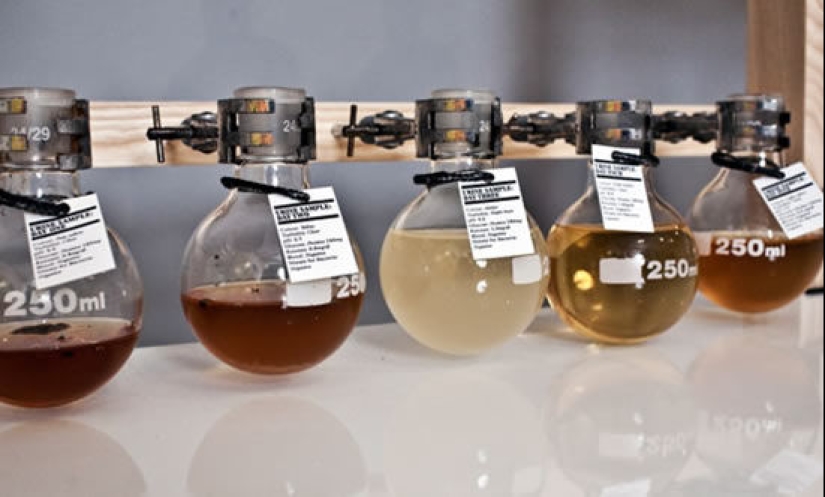 How, and most importantly why, there was a whiskey from the urine of diabetics Gilpin Family Whisky How, and most importantly why, there was a whiskey from the urine of diabetics Gilpin Family Whisky