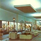 How Austrian immigrant Viktor Grunbaum came up with the idea of a shopping mall