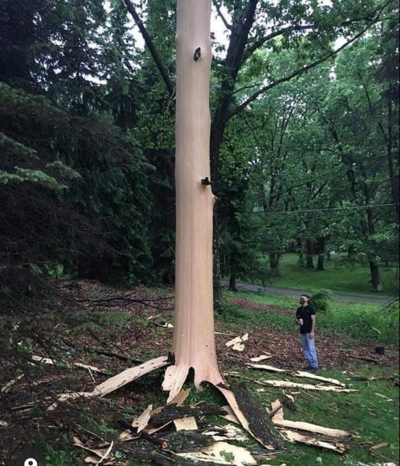 How beautiful this world is, look! 22 interesting photos about everything in the world