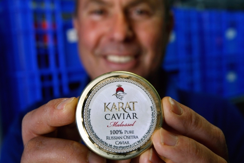 How black caviar is produced in Israel How black caviar is produced in Israel