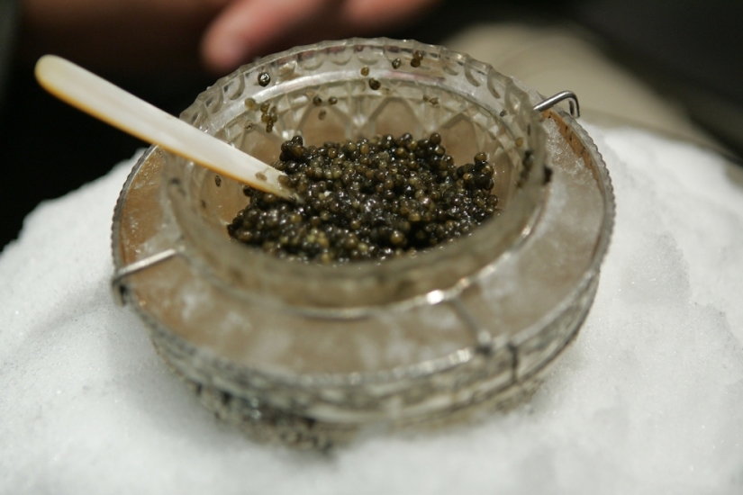 How black caviar is produced in Israel How black caviar is produced in Israel