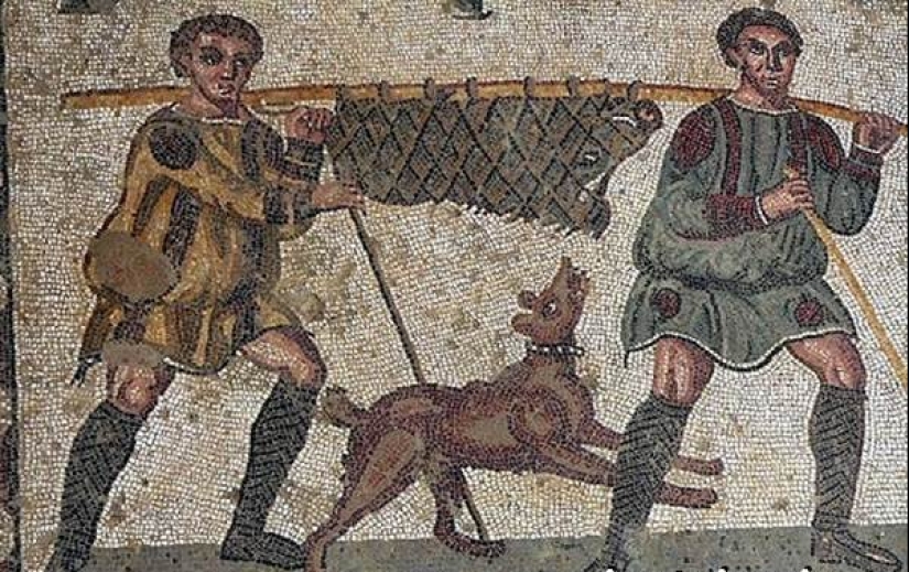 How did a man manage to tame a wolf and turn it into a dog How did a man manage to tame a wolf and turn it into a dog