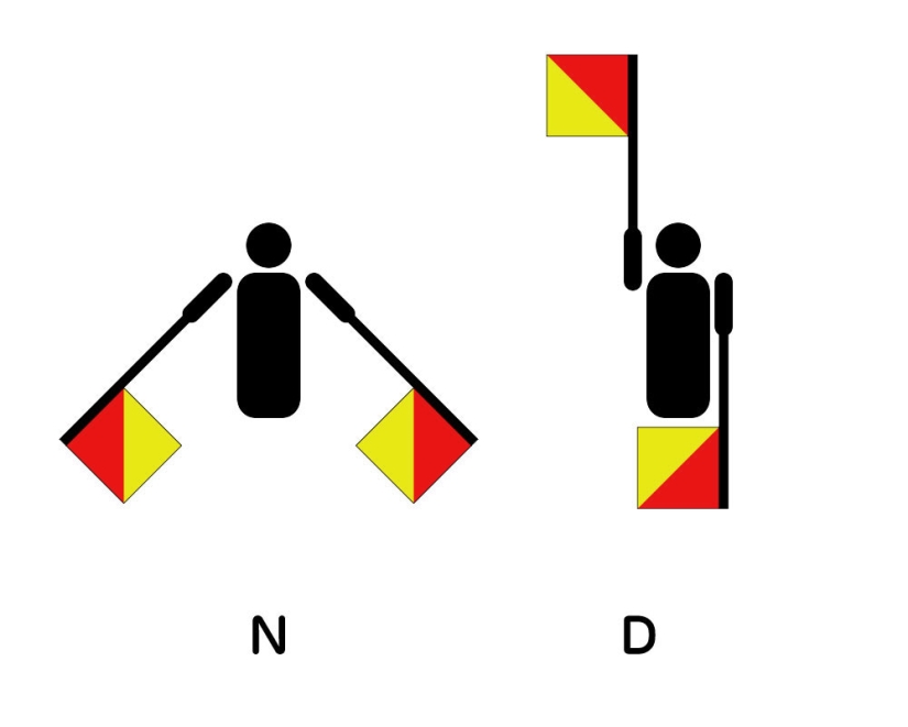 How did the pacificus — an international symbol of peace and the anti-war movement - appear