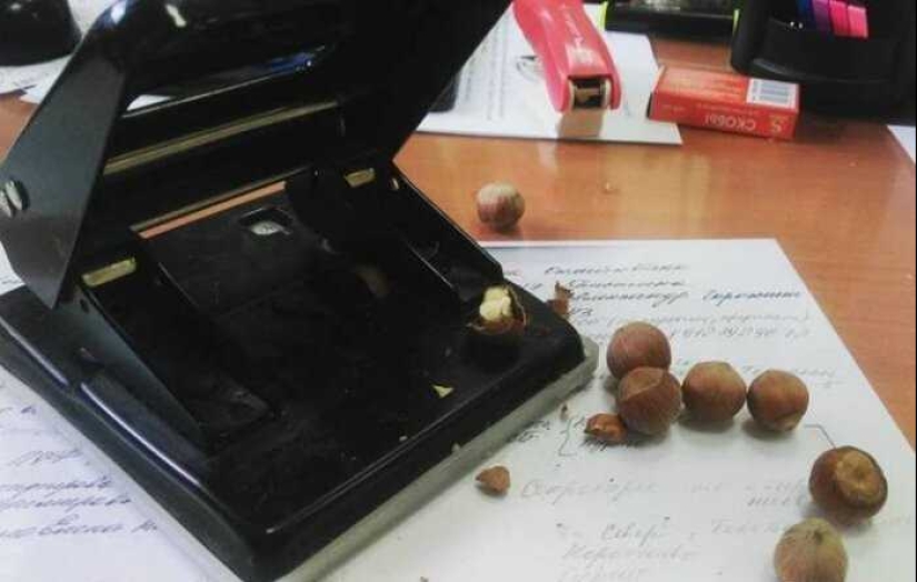 How do you like this, Elon Musk: 22 dubious inventions of domestic geniuses