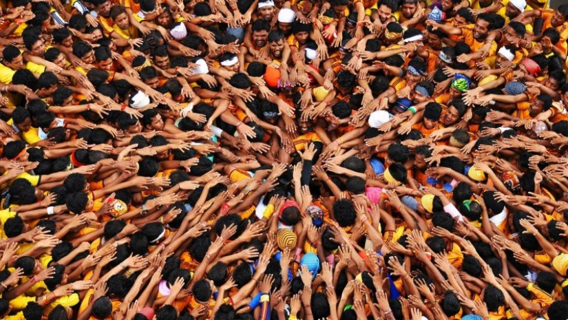 How does the herd instinct work and why is it difficult to resist it