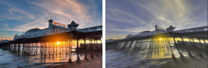 How dogs see How dogs see