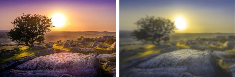 How dogs see How dogs see