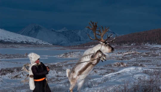 How the endangered tribe of reindeer herders from Mongolia lives How the endangered tribe of reindeer herders from Mongolia lives