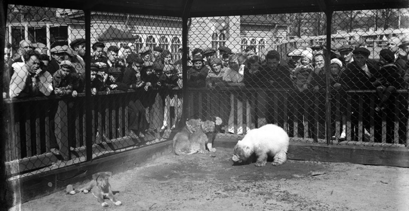 How the Leningrad Zoo survived the blockade