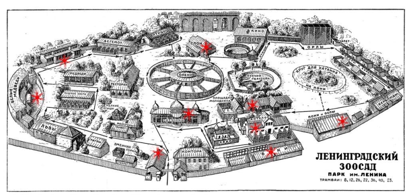 How the Leningrad Zoo survived the blockade