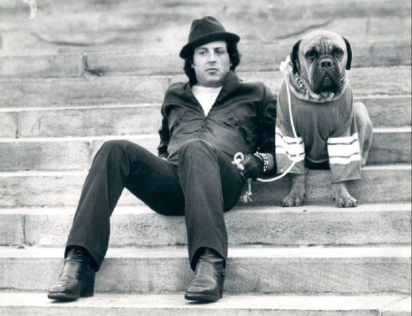 How the movie "Rocky" was filmed How the movie "Rocky" was filmed