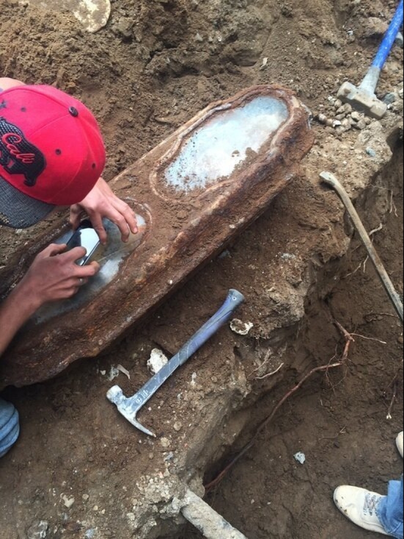 How the mystery of the girl from the crystal coffin was revealed