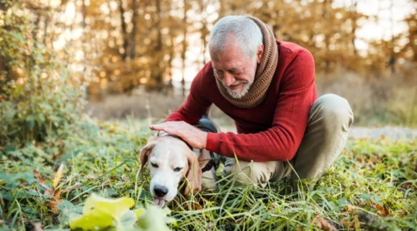 How the phrase "A dog is a man's best friend" came about How the phrase "A dog is a man's best friend" came about